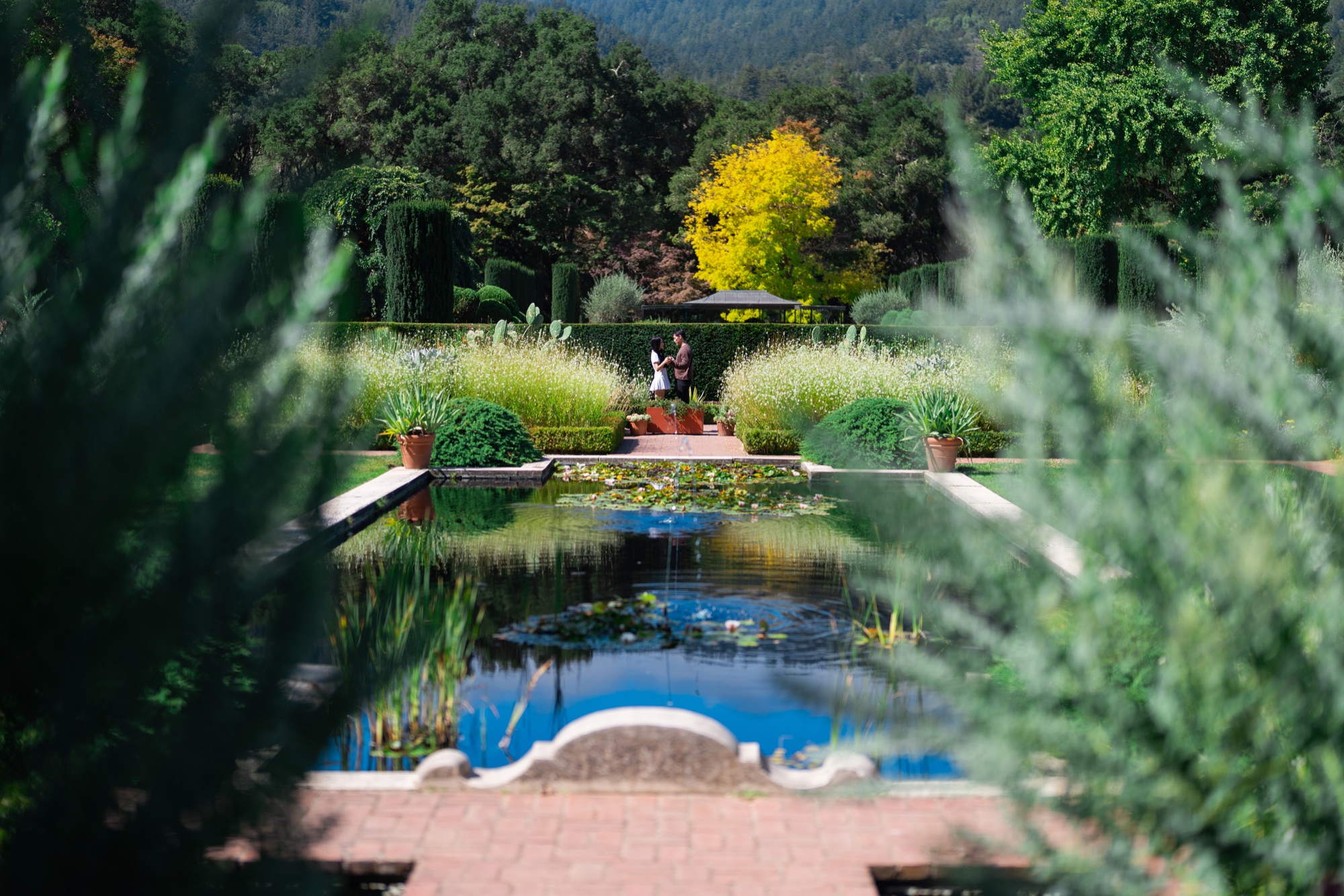 Ernest and Alexandra standing beyond the reflecting pool in Filoli’s formal garden